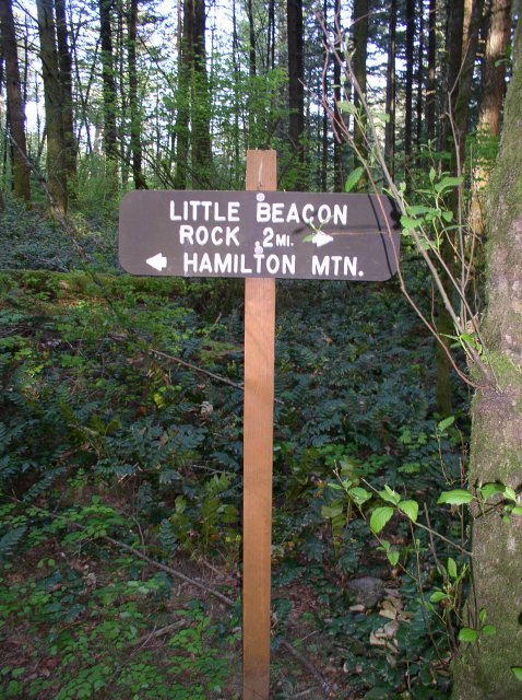 4.30.06 Hamilton Mountain 115 